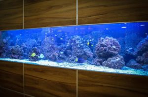 aquarium